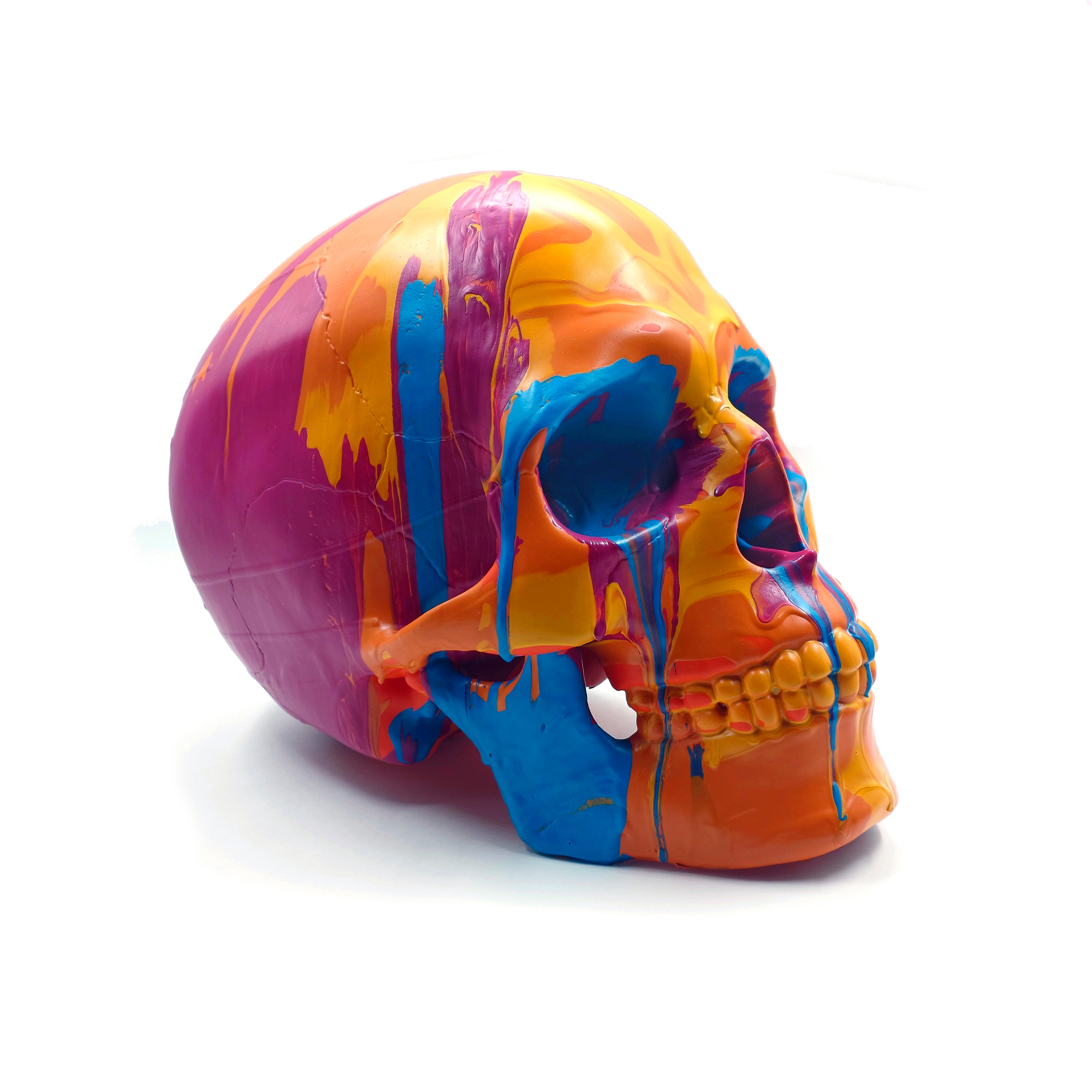 38灯 別注モデル HOLINUTS SKULL ver. 38灯 別注モデル HOLINUTS SKULL ver.