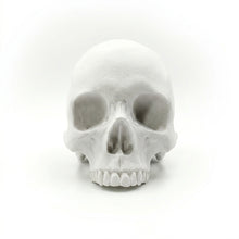 Cargar imagen en el visor de la galería, Skull Special Edition 2026