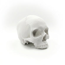 Cargar imagen en el visor de la galería, Skull Special Edition 2026
