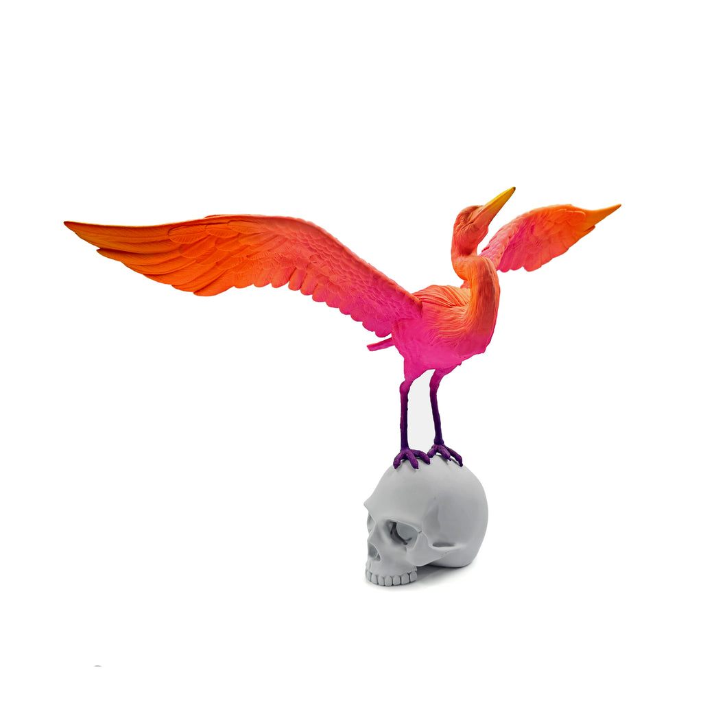 BIRD HERON SKULL
