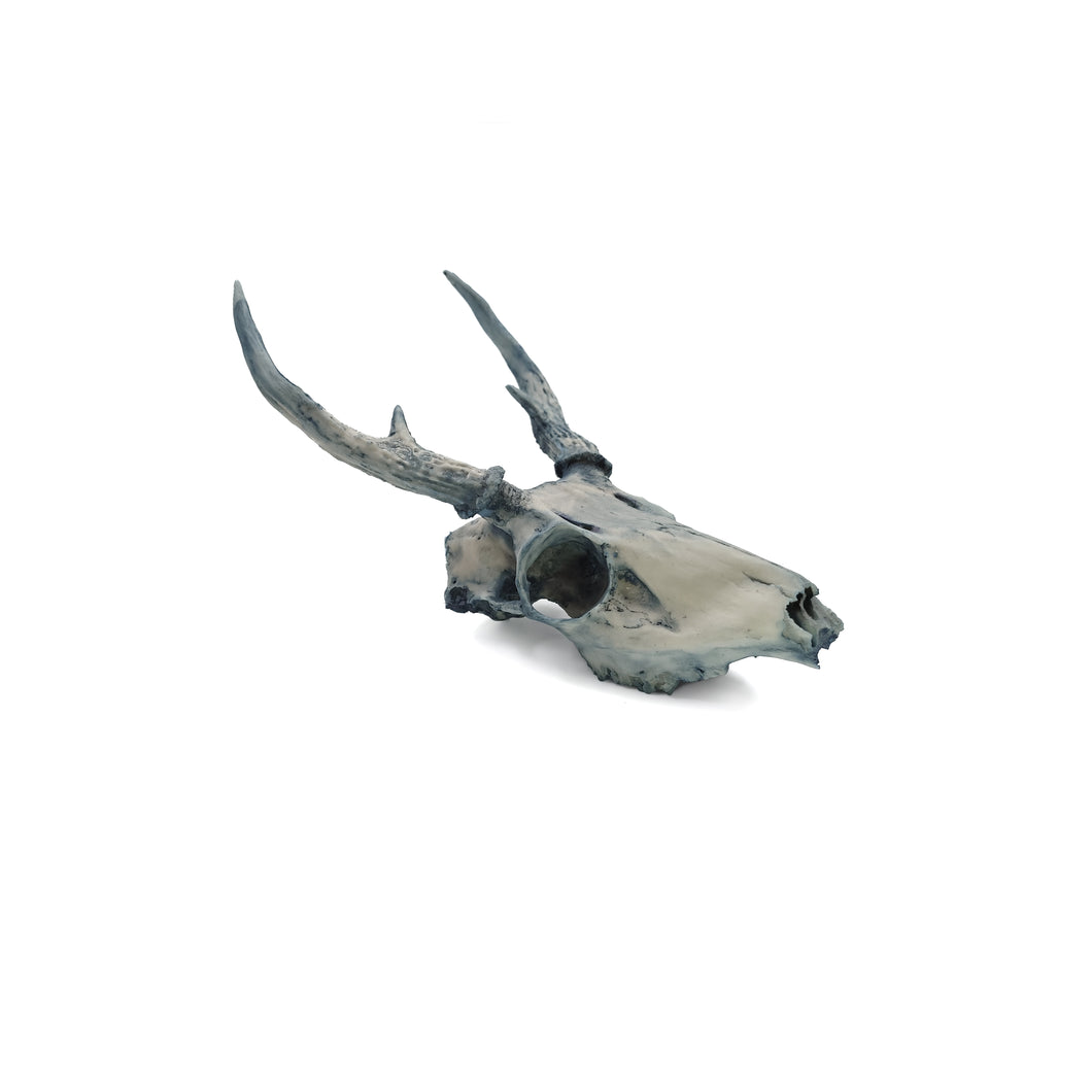 SKULL DEER