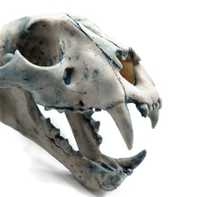 Cargar imagen en el visor de la galería, SKULL JAGUAR
