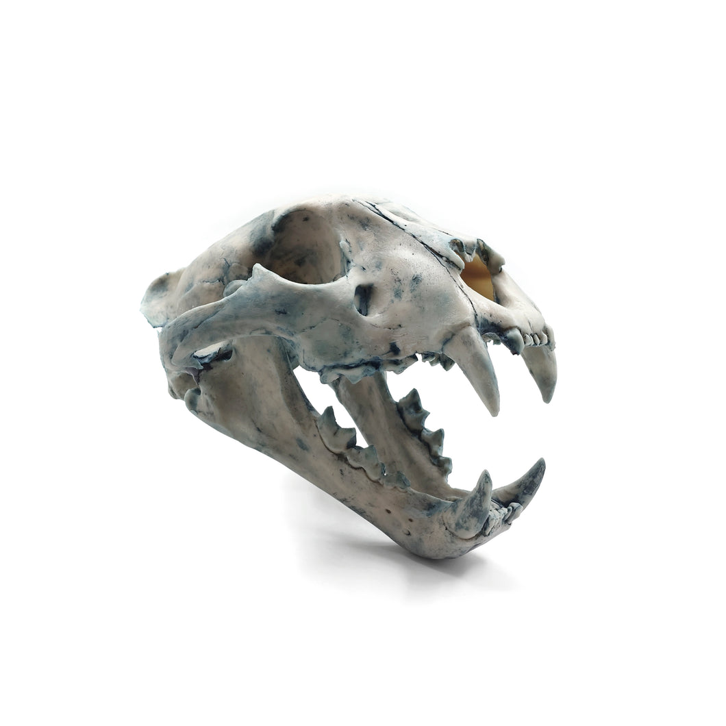 SKULL JAGUAR