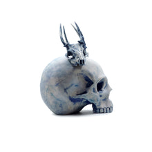 Cargar imagen en el visor de la galería, SKULL DOUBLE DEER
