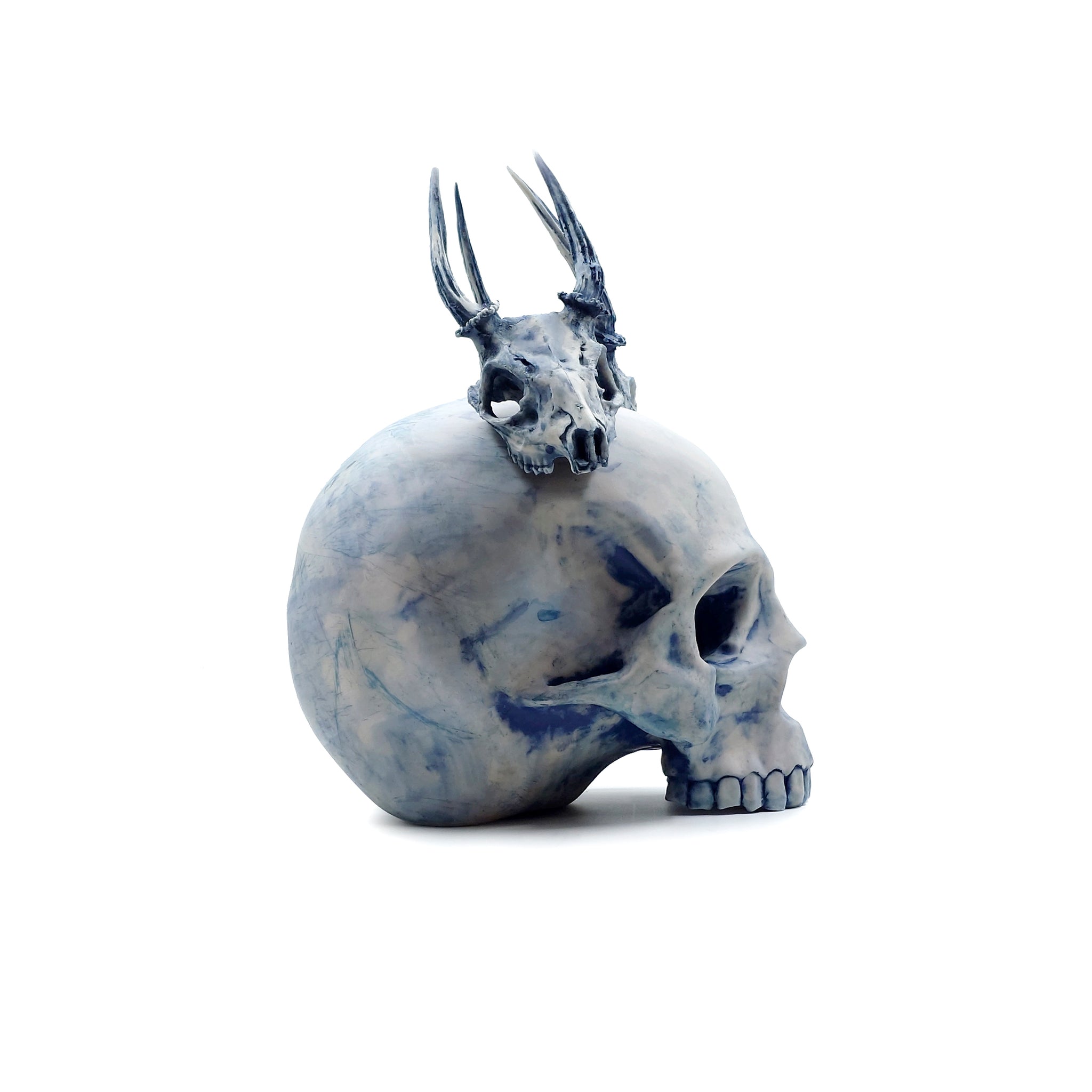 Deer Skull 2 531333691 Amazon.com: Antler Mount Kit | European Antler