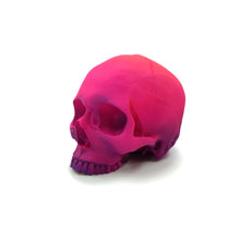Cargar imagen en el visor de la galería, Skull Special Edition 2026
